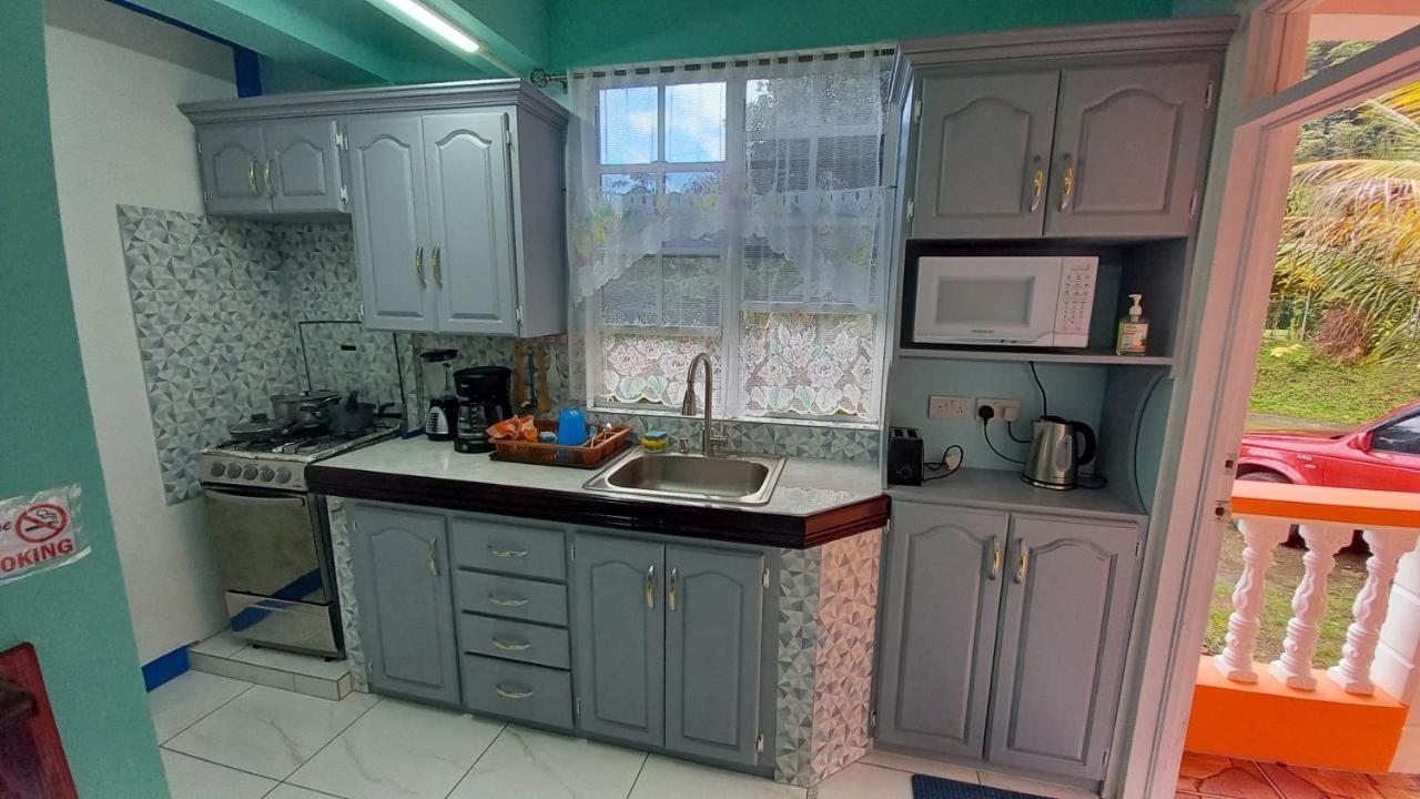 Cozy Vacation Retreat With Free Parking Apartment Roseau Ngoại thất bức ảnh