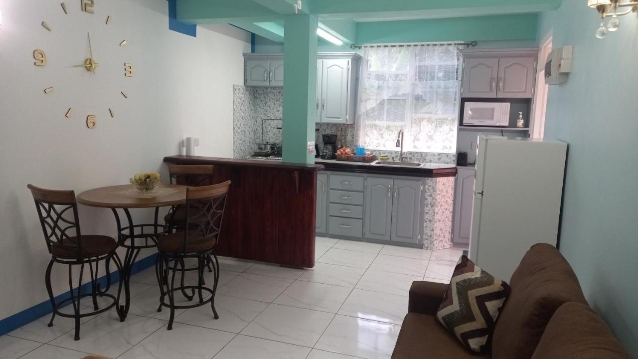 Cozy Vacation Retreat With Free Parking Apartment Roseau Ngoại thất bức ảnh